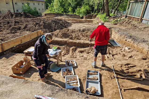 Třídění antropologického materiálu na podnosy, jeho popis a uložení do obalového materiálu (foto Egon Ditmar, 8. 5. 2025).